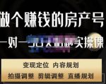 刘广标·同城房产号线上陪跑课，拍摄、剪辑、写文案、直播，做一个具有潜力价值的房产号-互联网资源大全网