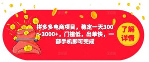 2023拼多多电商项目，稳定一天300～3000+，门槛低，出单快，一部手机即可完成-互联网资源大全网