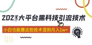 大平台黑科技引流技术,小白也能靠这些技术混到月入1w+(2022年的课程)-互联网资源大全网