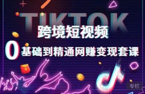 跨境短视频TIKTOK 0基础到精通网赚变现套课，跨境短视频独立站带货变现技巧-互联网资源大全网