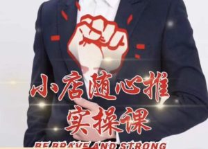 随心推线上课，小店随心推的投放逻辑，投放技巧，快速打标签-互联网资源大全网