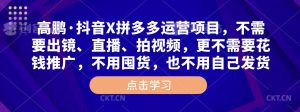 高鹏·抖音X拼多多运营项目,不需要出镜、直播、拍视频,不需要花钱推广,不用囤货,不用自己发货-互联网资源大全网