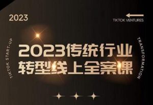 数据哥2023传统行业转型线上全案课，2023年传统行业如何转型线上，线上创业/传统转型避坑宝典-互联网资源大全网