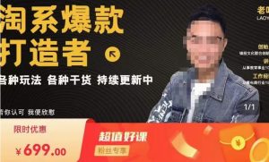 锋投老叶全店动销,淘系干货汇总,各种玩法,淘系爆款打造者-互联网资源大全网