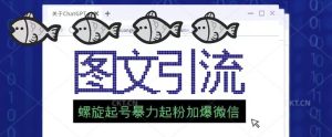 2023年价值1980的图文引流创业粉螺旋起好技术暴力起粉加爆微信-互联网资源大全网