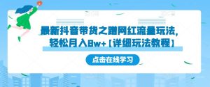 最新抖音带货之蹭网红流量玩法,轻松月入8w+【详细玩法教程】-第一资源库