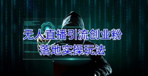外面收费3980的无人直播引流创业粉落地实操玩法，单日引100+精准创业粉-互联网资源大全网