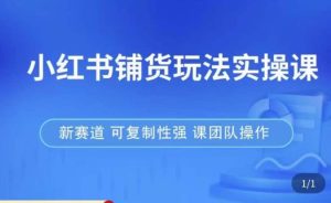 小红书铺货玩法实操课,流量大,竞争小,非常好做,新赛道,可复制性强,可团队操作-互联网资源大全网