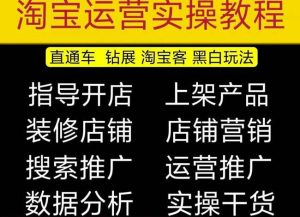 2023淘宝开店教程0基础到高级全套视频网店电商运营培训教学课程-互联网资源大全网