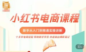 小红书电商新手入门到精通实操课，从入门到精通做爆款笔记，开店运营-互联网资源大全网