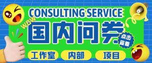 最新工作室内部国内问卷调查项目，单号轻松日入30+多号多撸【详细玩法教程】-互联网资源大全网