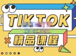 电商孵化中心·TikTok精品课程，教你玩转海外抖音，低成本创业，带您从0开始玩转TikTok-互联网资源大全网