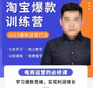 爱上黄昏·淘宝爆款训练营，2023最新运营打法，学习爆款思维，实现利润增长-互联网资源大全网