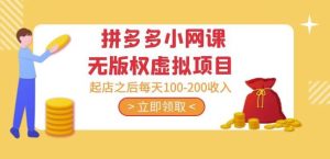 黄岛主·拼多多小网课无版权虚拟项目分享课:起店之后每天100-200收入-互联网资源大全网