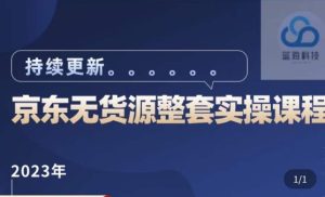 蓝七·2023京东店群整套实操视频教程，京东无货源整套操作流程大总结，减少信息差，有效做店发展-互联网资源大全网