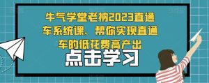 牛气学堂老衲2023直通车系统课,帮你实现直通车的低花费高产出-互联网资源大全网