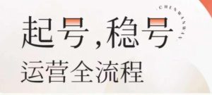 婉婉-起号稳号运营全流程,解决从小白到进阶所有运营知识,帮助解决账号所有运营难题-互联网资源大全网