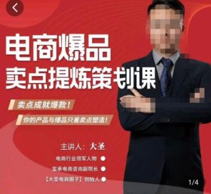 大圣·电商标品爆款卖点策划课，标品卖点成就爆款，可落地卖点提炼课-互联网资源大全网