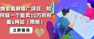搜索霸屏推广项目,如何做一个能卖10万的权重6网站(揭秘)-互联网资源大全网