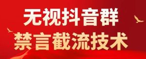 外面卖1500抖音粉丝群无视禁言截流技术，抖音黑科技，直接引流，0封号-互联网资源大全网