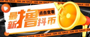 外面收费598的最新pdd无限白嫖抖币项目揭秘，简单暴利【仅揭秘】-互联网资源大全网