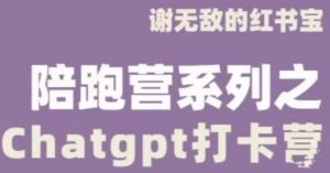 谢无敌ChatGPT打卡营，教你更好地使用ChatGPT来提高工作效率-互联网资源大全网