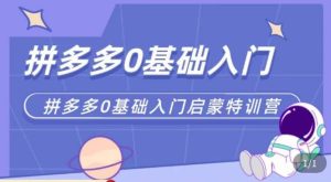 六一电商·拼多多运营0-1实操特训营,拼多多从基础到进阶的可实操玩法-互联网资源大全网
