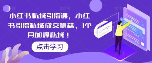 小红书私域引流课，小红书引流私域成交秘籍，1个月加爆私域！-互联网资源大全网