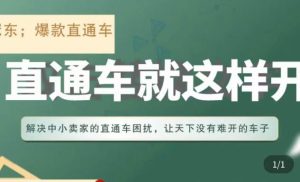冠东·淘系直通车保姆级教程，全面讲解直通车就那么简单-互联网资源大全网