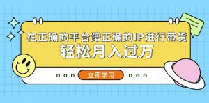 在正确的平台蹭正确的IP进行带货，轻松月入过万-互联网资源大全网