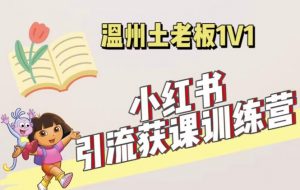 小红书1对1引流获客训练营:账号、内容、引流、成交(价值3999元)-互联网资源大全网