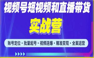 2023最新微信视频号引流和变现全套运营实战课程,小白也能玩转视频号短视频和直播运营-互联网资源大全网