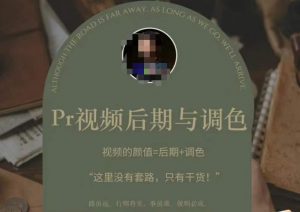Pr视频后期与调色，视频颜值=后期+调色，这里没有套路，只有干货！-互联网资源大全网