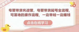 母婴带货实战营,母婴带货起号全流程,可落地的操作流程,一边带娃一边赚钱(附素材)-互联网资源大全网