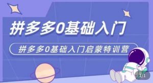 拼多多运营0-1实操特训营，拼多多0基础入门，从基础到进阶的可实操玩法-互联网资源大全网