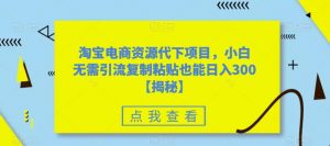 淘宝电商资源代下项目,小白无需引流复制粘贴也能日入300+【揭秘】-第一资源库