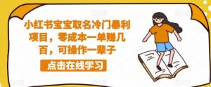 小红书宝宝取名冷门暴利项目,零成本一单赚几百,可操作一辈子-第一资源库