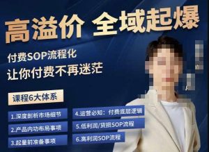 逸风-拼多多高溢价全域起爆，6大课程体系，付费玩法全套实操-互联网资源大全网