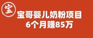 宝哥婴儿奶粉项目，6个月赚85w【图文非视频】【揭秘】-互联网资源大全网