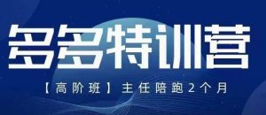 纪主任·5月最新多多特训营高阶班,玩法落地实操,多多全掌握-互联网资源大全网