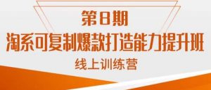 淘系可复制爆款打造能力提升班,这是一套可复制的打爆款标准化流程-第一资源库