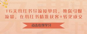 16天小红书导流接单营，教你引爆流量，在小红书精准获客+转化成交-第一资源库