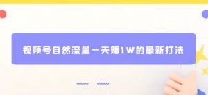 视频号自然流量一天赚1W的最新打法,基本0投资【揭秘】-第一资源库