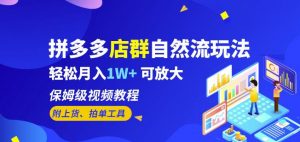 拼多多店群自然流玩法，轻松月入1W+保姆级视频教程（附上货、拍单工具）-第一资源库
