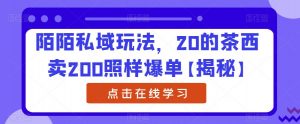 陌陌私域玩法,20的茶西卖200照样爆单【揭秘】-第一资源库