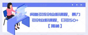 闲鱼引流创业粉课程,暴力引创业粉课程,日引50+【揭秘】-第一资源库