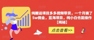 纯搬运项目多多视频带货，一个月搞了5w佣金，蓝海项目，纯小白也能操作【揭秘】-第一资源库