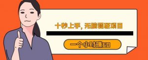 十秒钟上手,一个小时60元暴利无脑调研项目【揭秘】-第一资源库