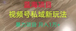 蓝海项目,视频号私域新玩法,暴力项目月入1万+【揭秘】-第一资源库