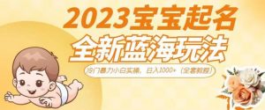 抖音美女图文+音乐推广5.0版本,单日单号500+,0本0粉可矩阵,五分钟一个视频【揭秘】-第一资源库